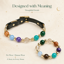 Galaxy Crystal Pet Collar & Matching Bracelet
