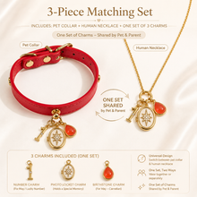 January Red Agate Pet Collar & Matching Necklace