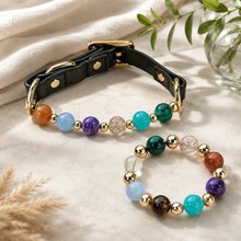 Galaxy Crystal Pet Collar & Matching Bracelet