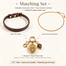 August Tiger’s Eye Pet Collar & Matching Necklace