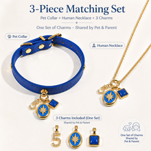 May Lapis Lazuli Pet Collar & Matching Necklace