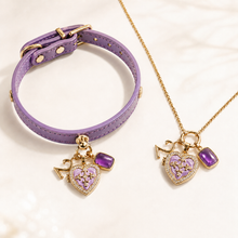 February Amethyst Pet Collar & Matching Necklace