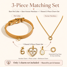 June White Crystal Pet Collar & Matching Necklace