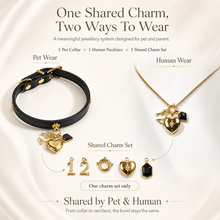 December Obsidian Pet Collar & Necklace Set