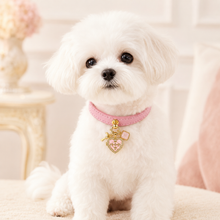 July Rose Quartz Pet Collar & Matching Necklace