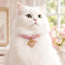 July Rose Quartz Pet Collar & Matching Necklace