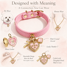 July Rose Quartz Pet Collar & Matching Necklace