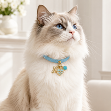 March Amazonite Pet Collar & Matching Necklace
