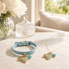 March Amazonite Pet Collar & Matching Necklace
