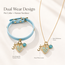 March Amazonite Pet Collar & Matching Necklace