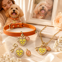 April Orange Moonstone Pet Collar & Matching Necklace