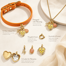 April Orange Moonstone Pet Collar & Matching Necklace