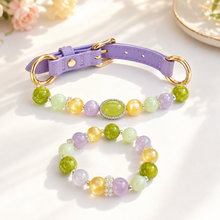 Monet Garden Gemstone Pet Collar & Matching Bracelet