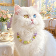 Monet Garden Gemstone Pet Collar & Matching Bracelet