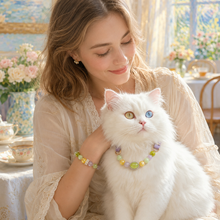 Monet Garden Gemstone Pet Collar & Matching Bracelet