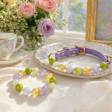 Monet Garden Gemstone Pet Collar & Matching Bracelet