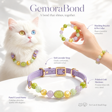 Monet Garden Gemstone Pet Collar & Matching Bracelet