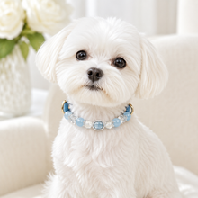 Ice Blue Aquamarine Pet Collar & Matching Bracelet
