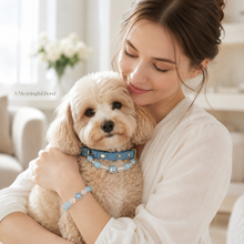 Ice Blue Aquamarine Pet Collar & Matching Bracelet