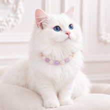 Pink Heart Amethyst & Rose Quartz Pet Collar & Matching Bracelet