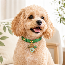 September Green Strawberry Quartz Pet Collar & Matching Necklace