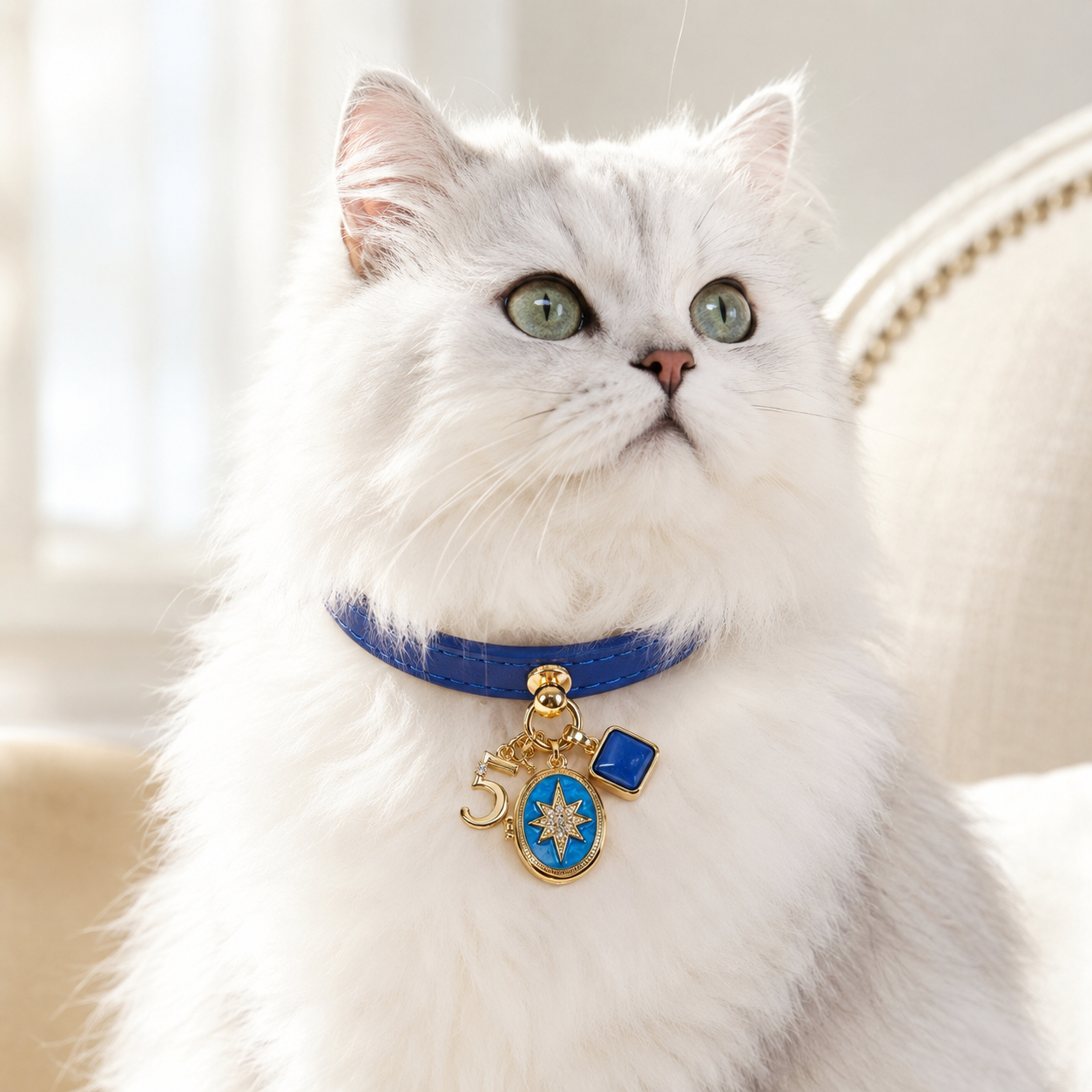 May Lapis Lazuli Pet Collar & Matching Necklace