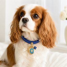 May Lapis Lazuli Pet Collar & Matching Necklace