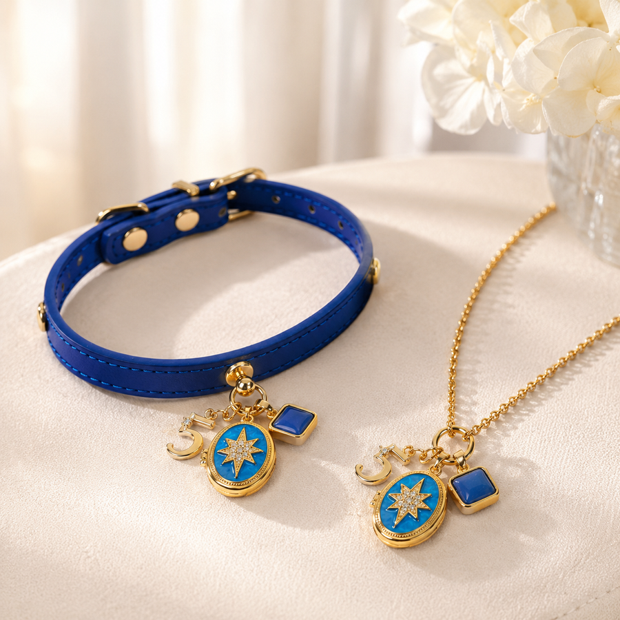 May Lapis Lazuli Pet Collar & Matching Necklace