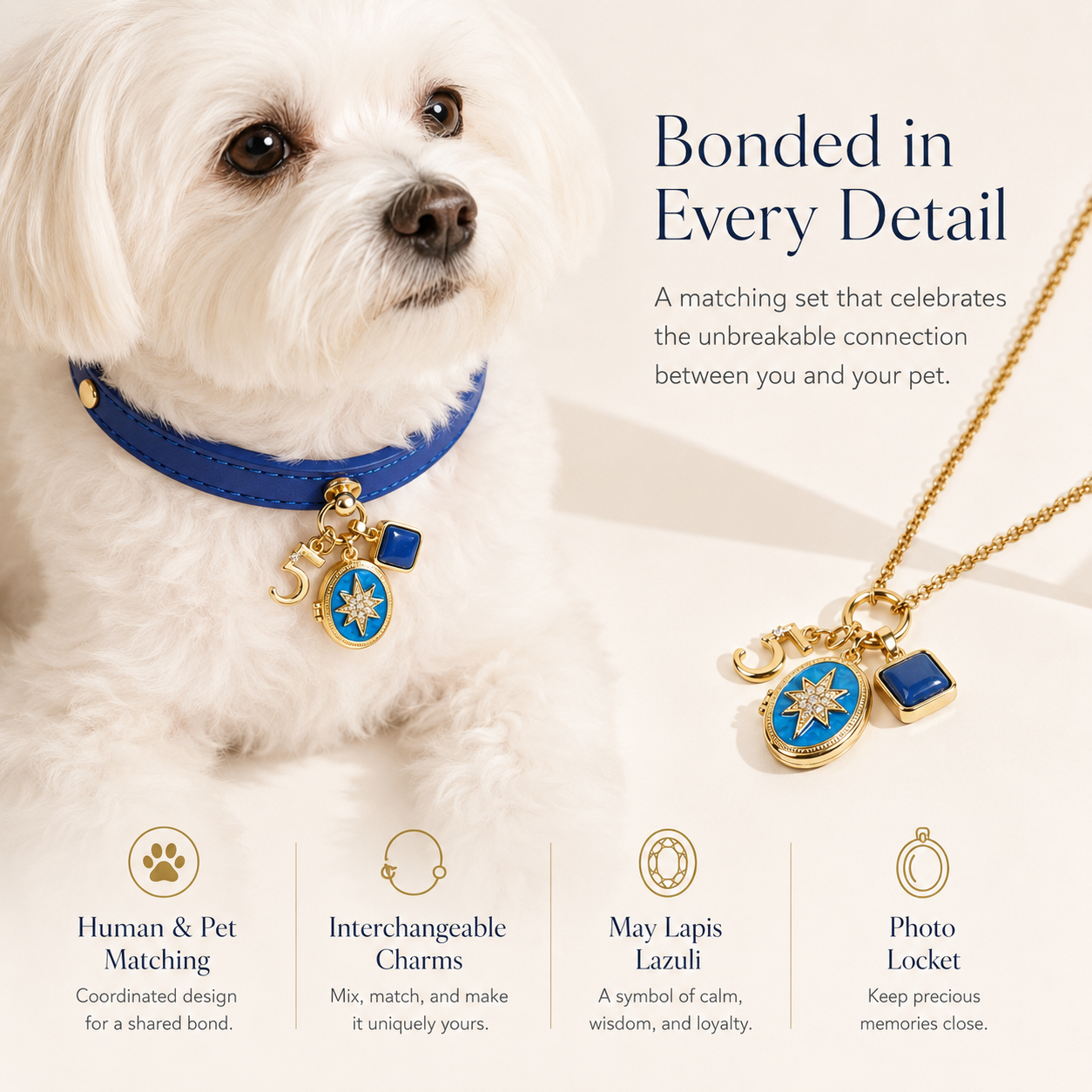 May Lapis Lazuli Pet Collar & Matching Necklace