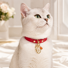 January Red Agate Pet Collar & Matching Necklace