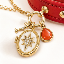 January Red Agate Pet Collar & Matching Necklace