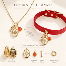 January Red Agate Pet Collar & Matching Necklace
