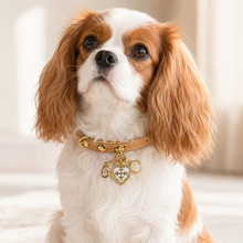 June White Crystal Pet Collar & Matching Necklace