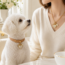June White Crystal Pet Collar & Matching Necklace