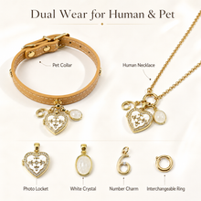 June White Crystal Pet Collar & Matching Necklace