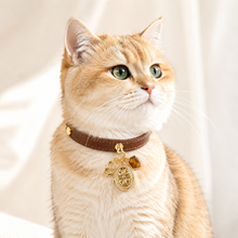 August Tiger’s Eye Pet Collar & Matching Necklace