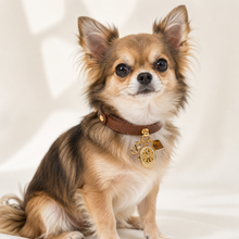 August Tiger’s Eye Pet Collar & Matching Necklace