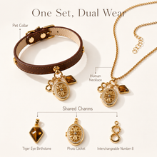 August Tiger’s Eye Pet Collar & Matching Necklace