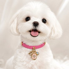 October Grey Moonstone Pet Collar & Matching Necklace