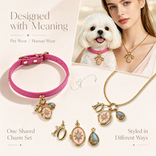 October Grey Moonstone Pet Collar & Matching Necklace