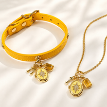 November Citrine Pet Collar & Matching Necklace