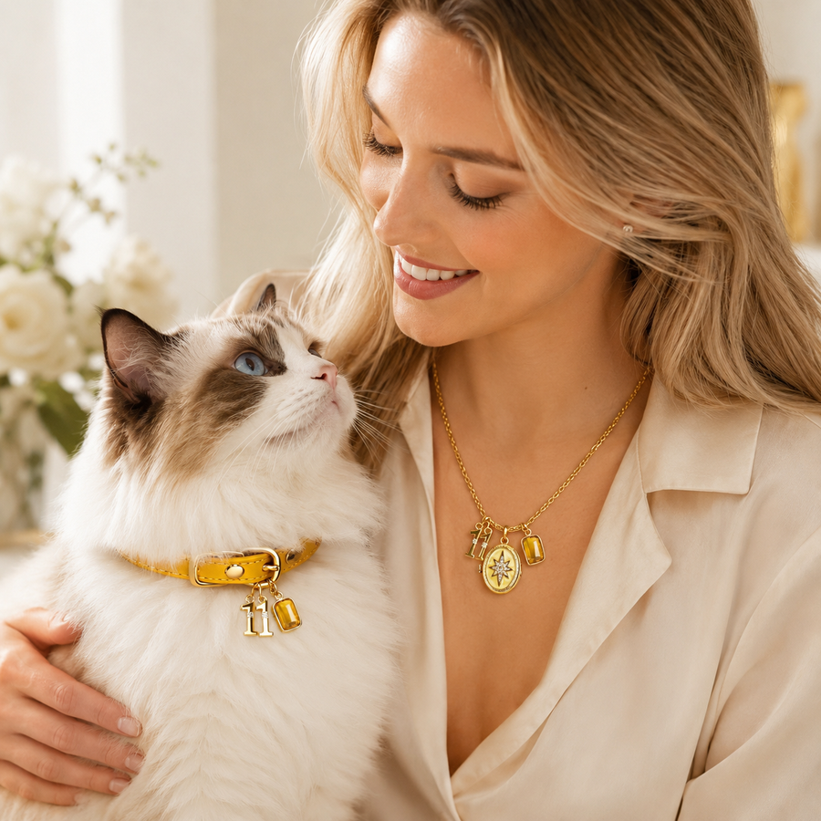 November Citrine Pet Collar & Matching Necklace