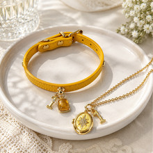 November Citrine Pet Collar & Matching Necklace
