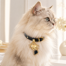 December Obsidian Pet Collar & Necklace Set