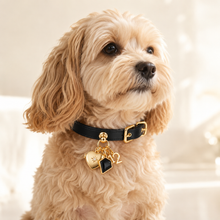 December Obsidian Pet Collar & Necklace Set