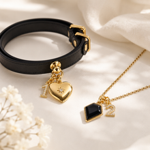 December Obsidian Pet Collar & Necklace Set