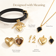 December Obsidian Pet Collar & Necklace Set