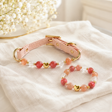 Milk Tea Rose Gemstone Pet Collar & Matching Bracelet