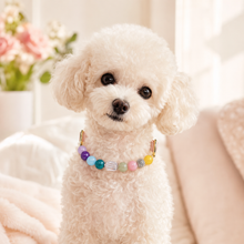 Rainbow Gemstone Pet Collar & Matching Bracelet