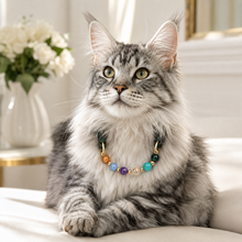 Galaxy Crystal Pet Collar & Matching Bracelet